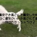 親友うまおくん！あざます！